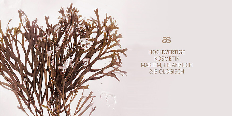 Langjährige Erfahrung und ständige Weiterbildungen garantieren Ihnen Kompetenz und Individualität