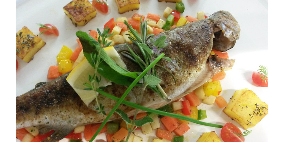 Leckere Fische der hauseigenen Fischzucht im Alten Kurhaus