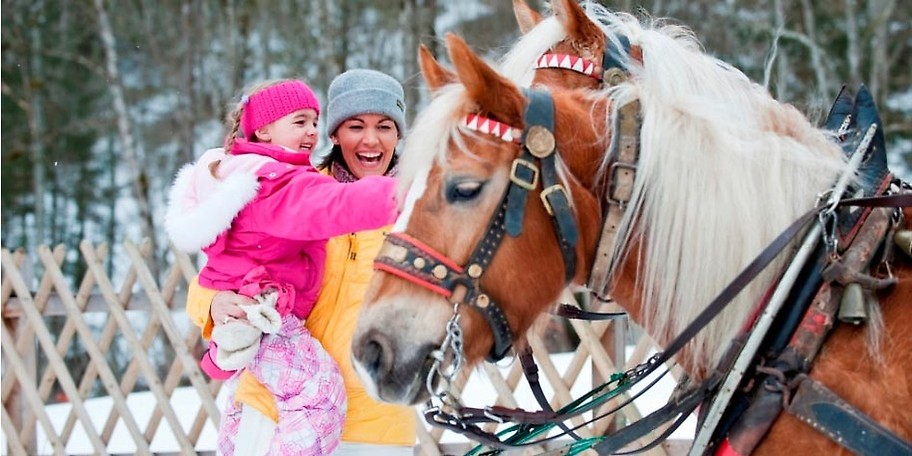 Was und wie viel bekommt das Pony zu fressen, wie pflege ich es richtig und natürlich darf das Winter-Ponyreiten nicht zu kurz kommen