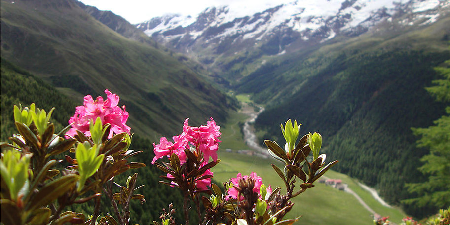 Entspannen Sie bei der wunderbaren Aussicht
