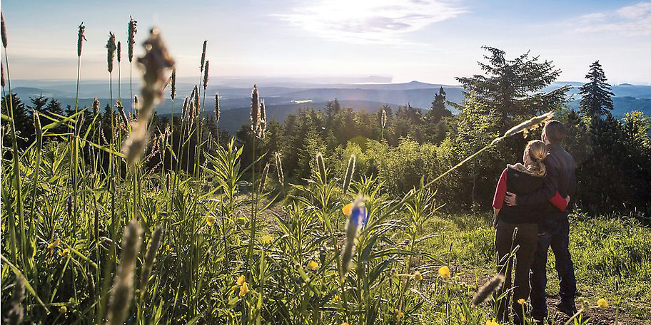 Unbebaute Weitsicht bis zu den Alpen im Hotel Das Weitblick Allgäu