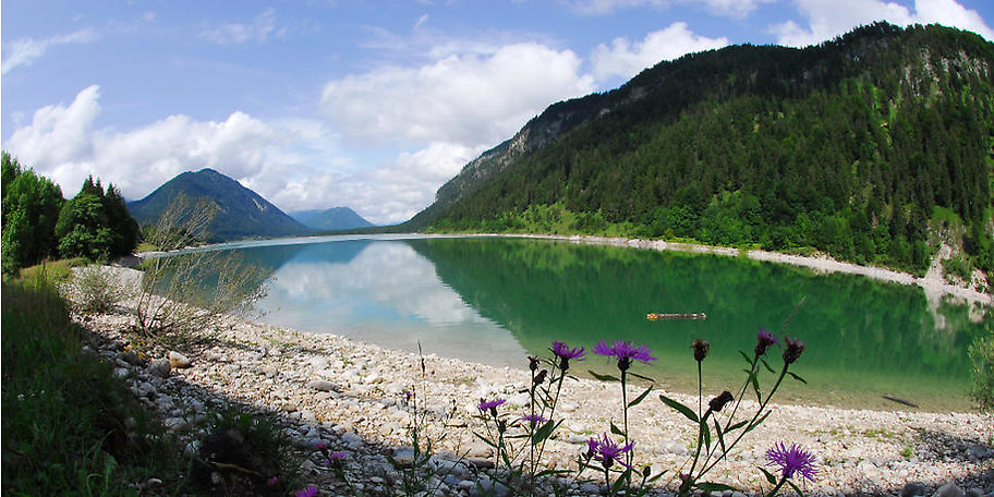 Bei Jäger von Fall erleben Sie Natur pur
